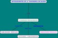 /album/fotogaleria/mapa-vero-jpg/